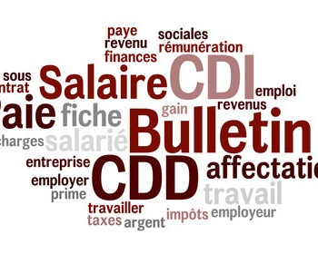 Nuage de Mot : Bulletin salaire paie